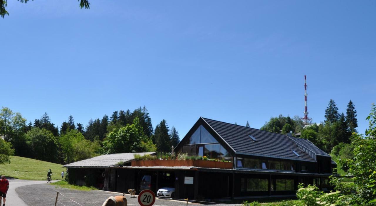 Ferienwohnung Reichart ロッハウ・バイ・ブレゲンツ エクステリア 写真